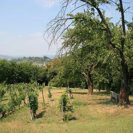 Villa Rene *