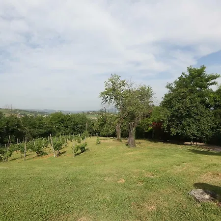 Villa Rene *